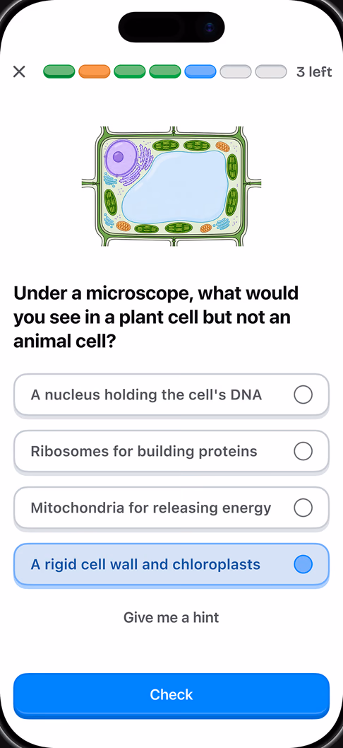 A Phloe question about plant cells, with a cell diagram and four answers